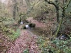 Woodland walks which can be accessed straight from the farmhouse
