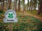 National Trust Formby - Great for walks through the pine trees National Trust Formby - Great for walks through the pine trees