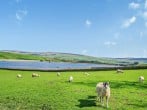 Cottage in Barnard Castle, County Durham (90498) #4 Cottage in Barnard Castle, County Durham (90498) #4