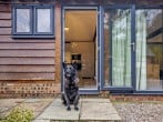 Two well behaved dogs welcome Two well behaved dogs welcome