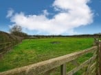 Dog friendly secure paddock to enjoy during your stay Dog friendly secure paddock to enjoy during your stay