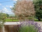 Cottage in Bishop Auckland, County Durham (93111) #21 Cottage in Bishop Auckland, County Durham (93111) #21