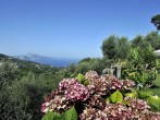 Sole di Capri #78