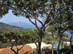 Sole di Capri #77