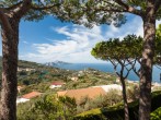 Sole di Capri #75
