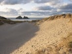 Beachcomber #48 Beachcomber #48