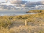 Beachcomber #47 Beachcomber #47