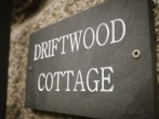 Driftwood #25