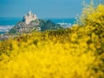 Aval Dor Barn, Croft Hooper #35