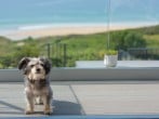 Ocean View, The Sands #28