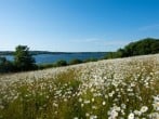 Clover Lodge, 32 Roadford Lake Lodges #34 Clover Lodge, 32 Roadford Lake Lodges #34