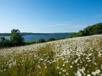 Bluebell Lodge, 29 Roadford Lake Lodges #33 Bluebell Lodge, 29 Roadford Lake Lodges #33