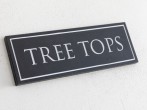 Tree Tops #40