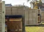 Honeycrisp, Apple Tree Glamping #16 Honeycrisp, Apple Tree Glamping #16