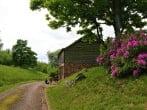 Kidcleugh Hide #10 Kidcleugh Hide #10