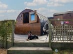 Embden Pod at Banwy Glamping #2 Embden Pod at Banwy Glamping #2
