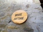 Bruce #4 Bruce #4