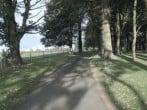 Tal Gwynedd #42