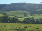 The Linhay #30 The Linhay #30