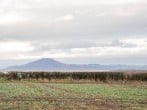 Windy Mundy Farm at Pitchford Estate #53