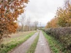 Windy Mundy Farm at Pitchford Estate #54