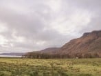 Stalker's Cottage - Torridon #24