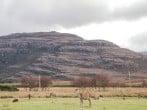 Stalker's Cottage - Torridon #25