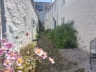 Cosy & Dog Friendly Country Cottage Ideal for Families