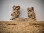 Little Owl Barn #7