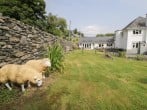 Pengwern Bach #29 Pengwern Bach #29