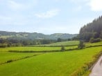 Pengwern Bach #38 Pengwern Bach #38