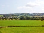 Pengwern Bach #39 Pengwern Bach #39