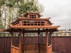The Hen House #15