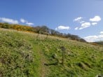 Fron Goch Farm #74