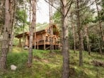 Pine Marten Lodge #28 Pine Marten Lodge #28