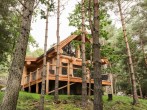 Pine Marten Lodge #1