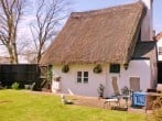 Little Thatch #8 Little Thatch #8