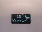 Curlew #3 Curlew #3