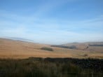 Cottam Cottage Farm #27