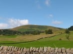 Cottam Cottage Farm #28