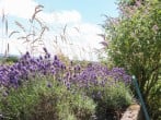Cottam Cottage Farm #22