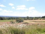 Cottam Cottage Farm #24