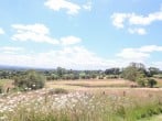 Cottam Cottage Farm #25