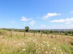 Cottam Cottage Farm #26