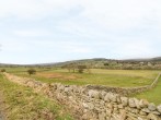 Meadows Edge #22 Meadows Edge #22