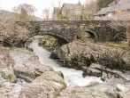 Nant Cottage #15