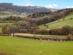Tyn Y Celyn Canol #42 Tyn Y Celyn Canol #42
