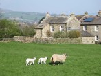 Cross Beck Cottage #41 Cross Beck Cottage #41