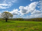 Brynhir Farm #18
