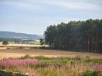 Strathnaver #79 Strathnaver #79